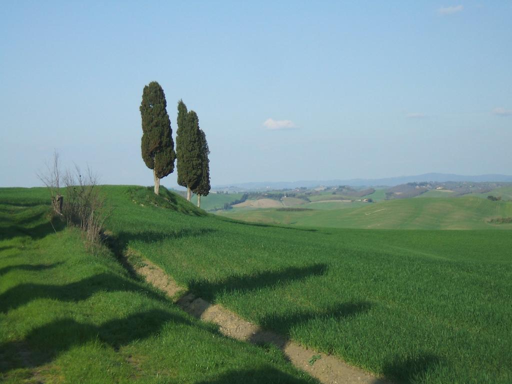 Antica Dimora Apartment Monteroni d'Arbia Room photo